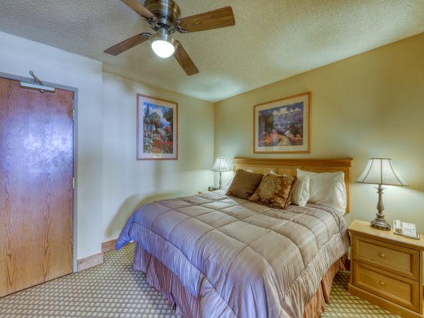 Aspen Condo 950299