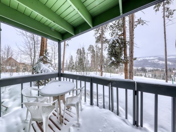 Winter Park Condo 950300