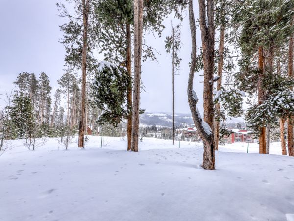 Winter Park Condo 950300