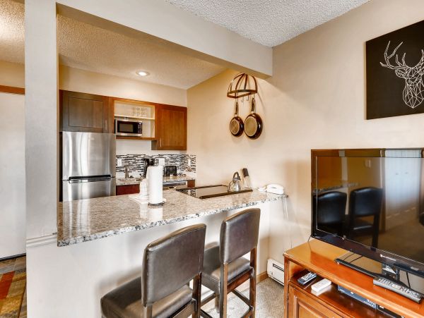 Breckenridge Condo 950304