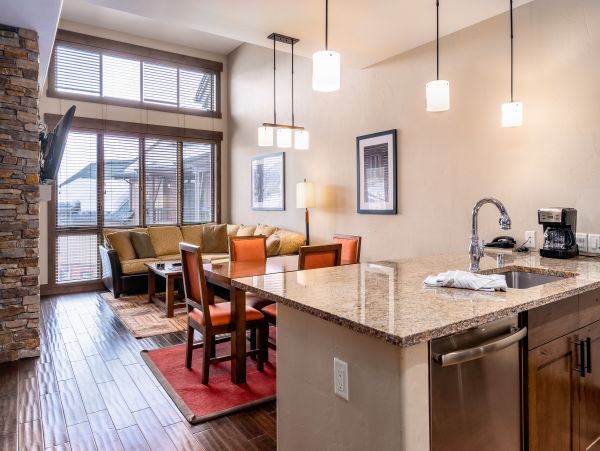 Steamboat Springs Condo 950306