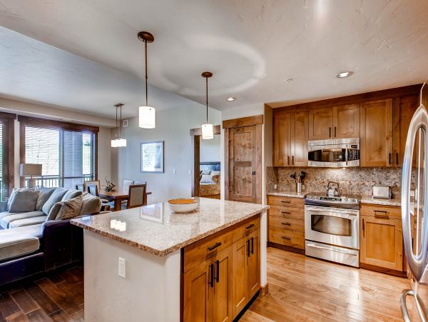 Steamboat Springs Condo 950308