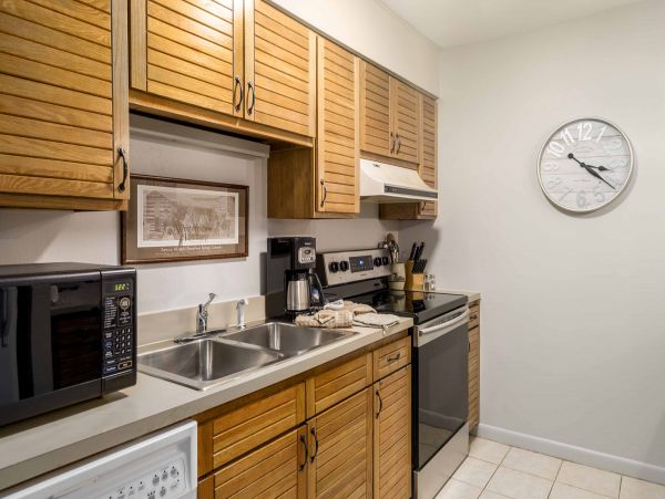 Steamboat Springs Condo 950312