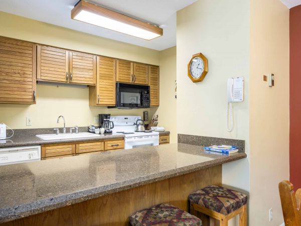 Steamboat Springs Condo 950313