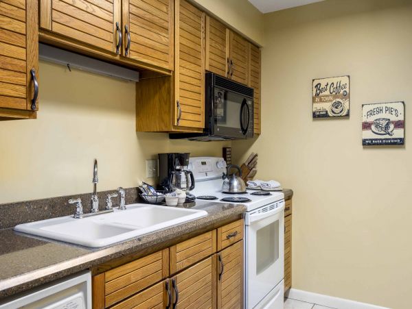 Steamboat Springs Condo 950313