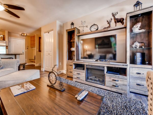 Steamboat Springs Condo 950314
