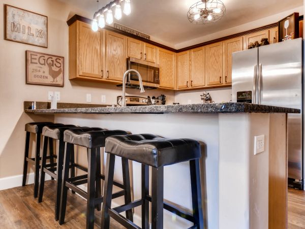 Steamboat Springs Condo 950314