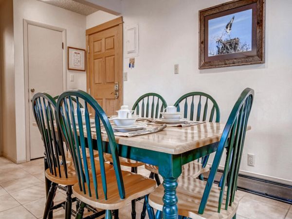 Steamboat Springs Condo 950317