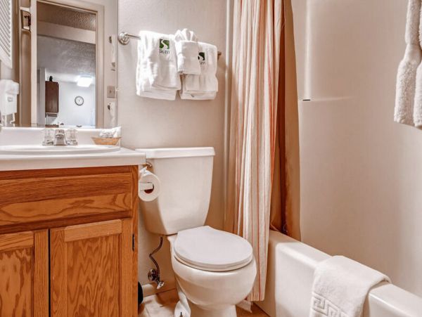 Steamboat Springs Condo 950317