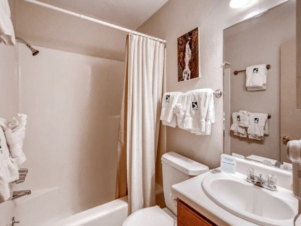 Steamboat Springs Condo 950317