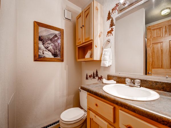 Breckenridge Condo 950324