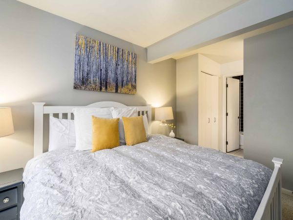 Steamboat Springs Condo 950330