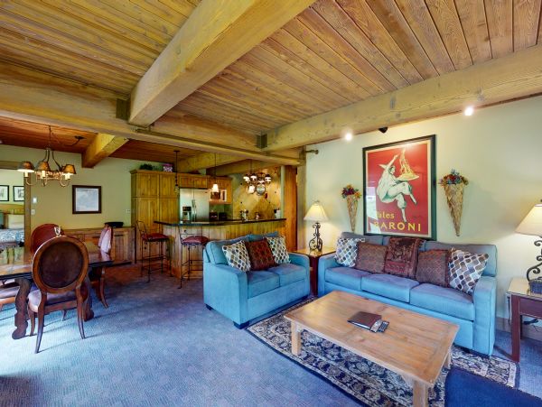 Snowmass Condo 950335