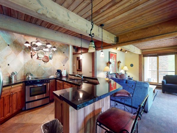 Snowmass Condo 950335