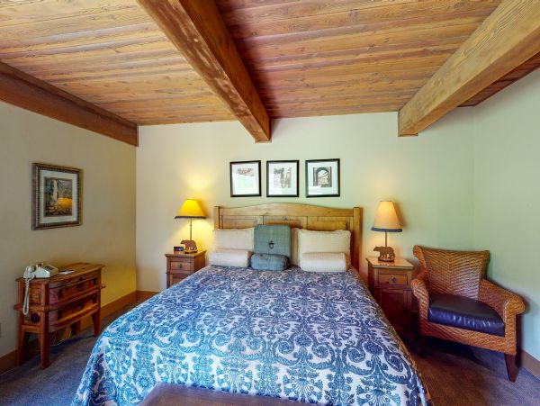 Snowmass Condo 950335