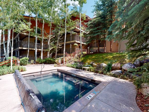Snowmass Condo 950335