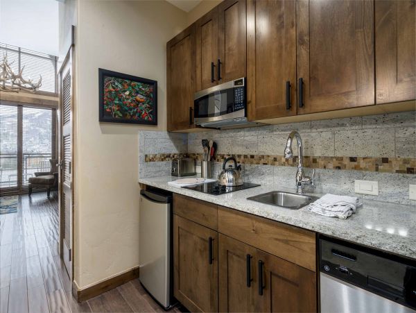 Steamboat Springs Condo 950338
