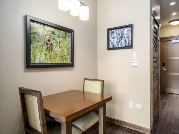 Steamboat Springs Condo 950338
