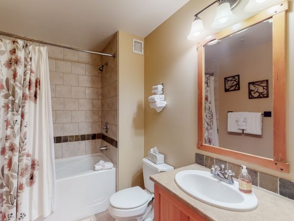 Breckenridge Condo 950339
