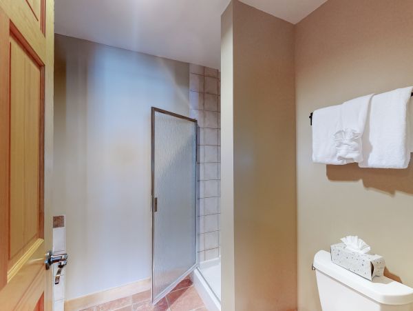Breckenridge Condo 950339