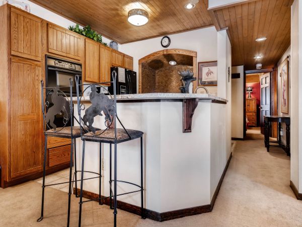 Steamboat Springs Condo 950342