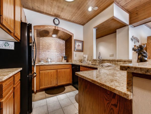 Steamboat Springs Condo 950342