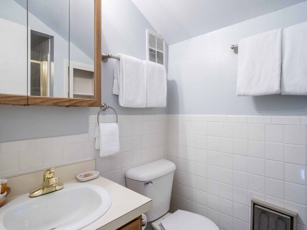 Steamboat Springs Condo 950346