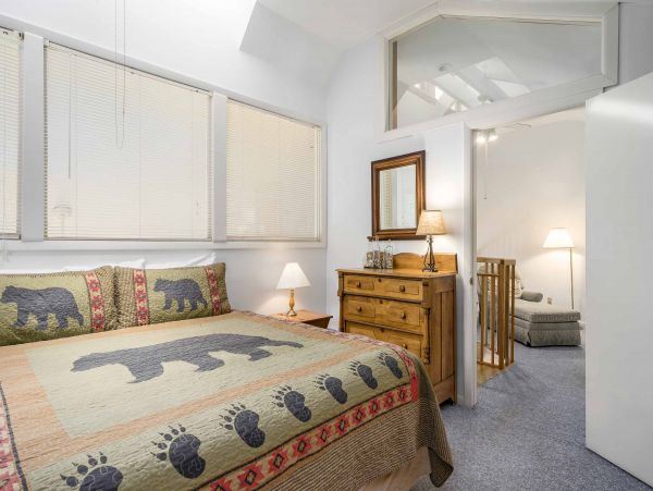 Steamboat Springs Condo 950346