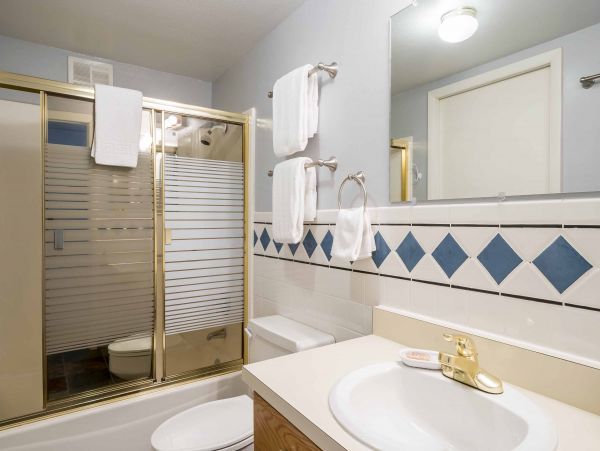 Steamboat Springs Condo 950346