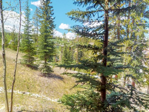 Breckenridge Condo 950352