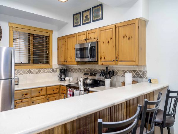 Steamboat Springs Condo 950357