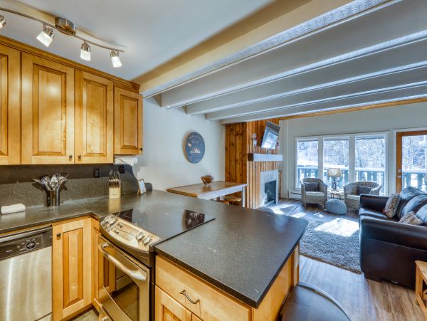 Vail Lionshead Condo 950361