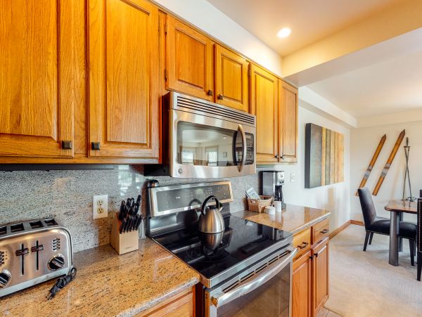 Steamboat Springs Condo 950363