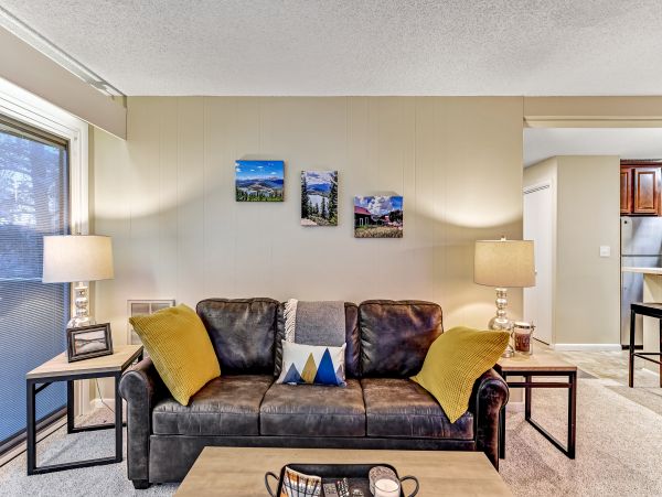 Breckenridge Condo 950366