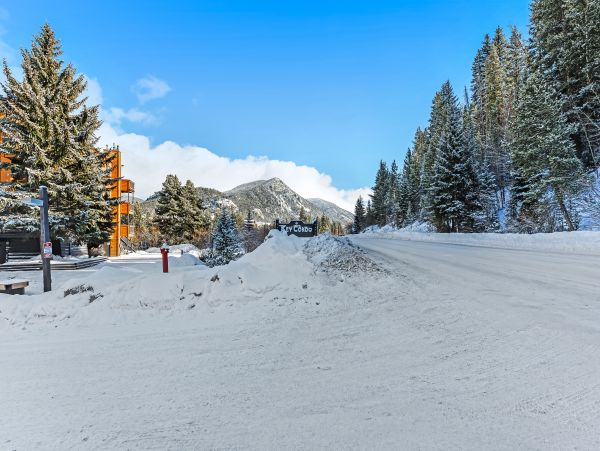 Breckenridge Condo 950366