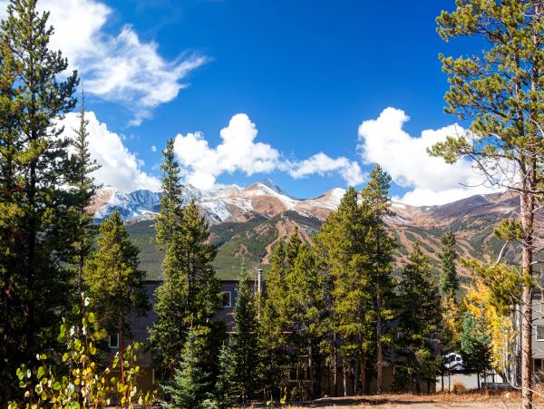Breckenridge Home 950368