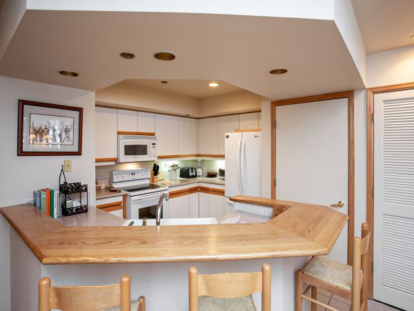 Steamboat Springs Condo 950376