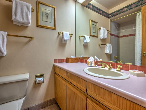 Steamboat Springs Condo 950376