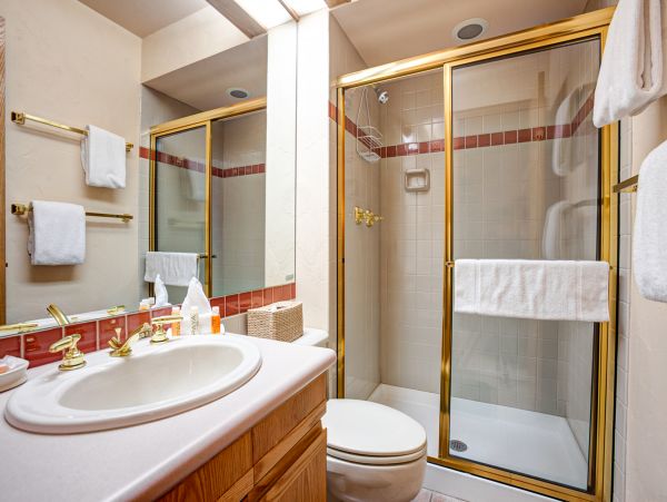 Steamboat Springs Condo 950376