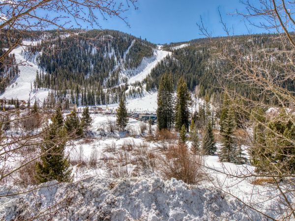 Breckenridge Condo 950378