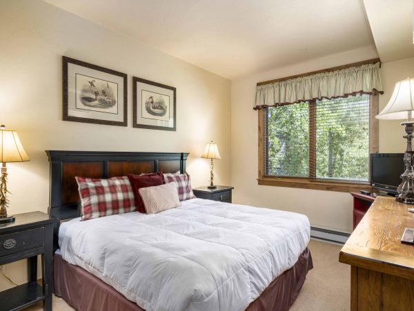 Steamboat Springs Condo 950381