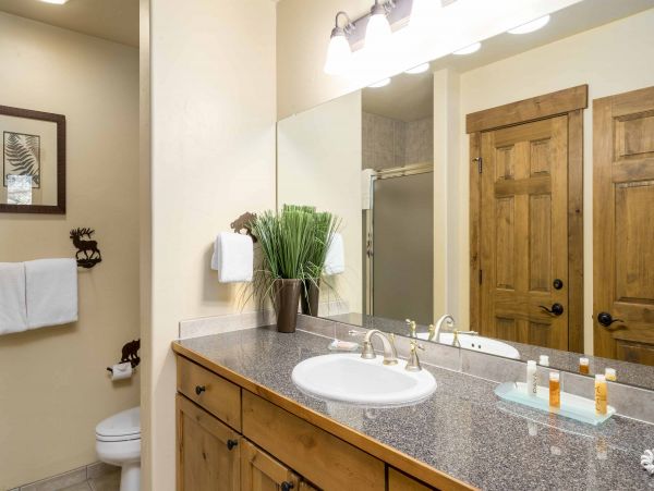 Steamboat Springs Condo 950381