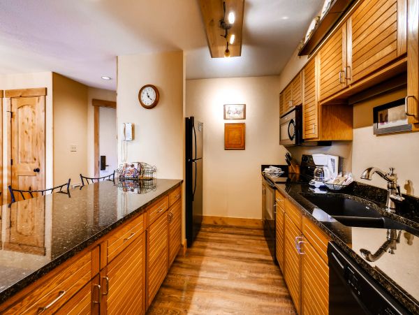 Steamboat Springs Condo 950382