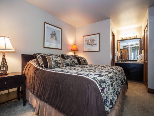 Steamboat Springs Condo 950383