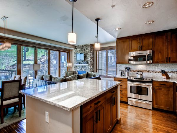 Steamboat Springs Condo 950384