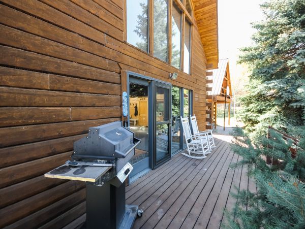 Telluride Home 950388