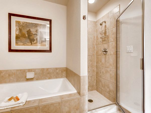 Breckenridge Condo 950389