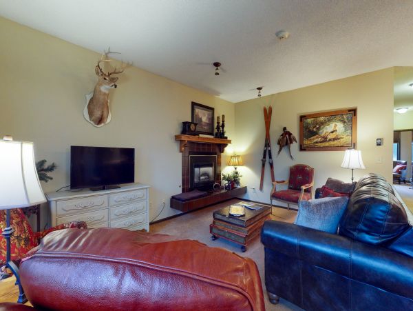 Vail Lionshead Home 950390