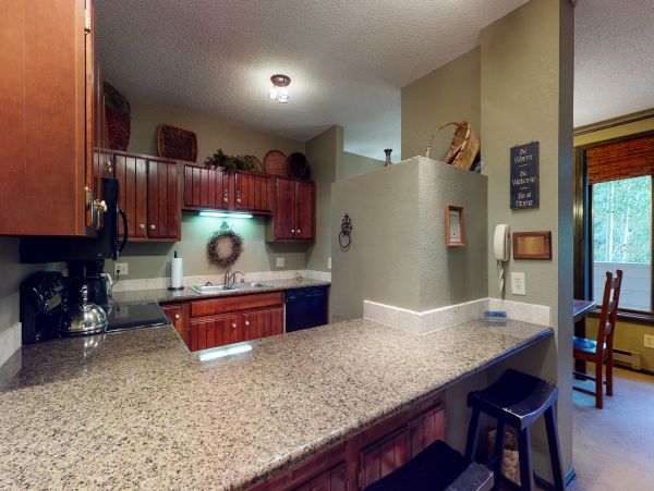 Vail Lionshead Home 950390