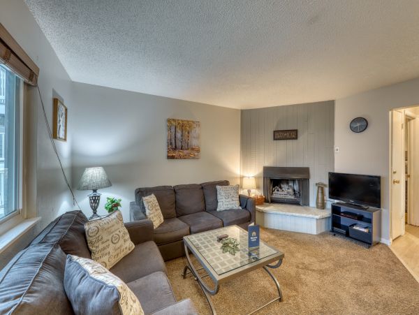 Breckenridge Condo 950391